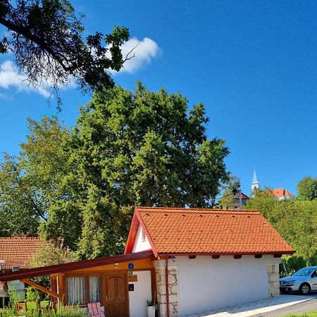Holiday Old Stone House Sveti Ivan Zelina Екстериор снимка