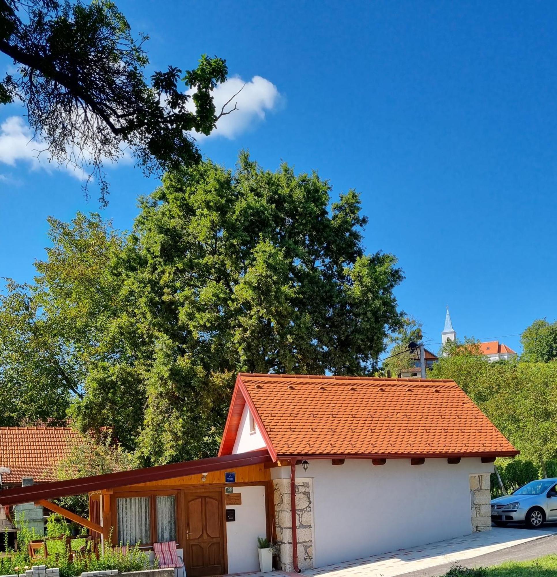 Holiday Old Stone House Sveti Ivan Zelina Екстериор снимка